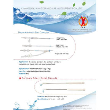 Antegrade Perfusion for Heart Surgery